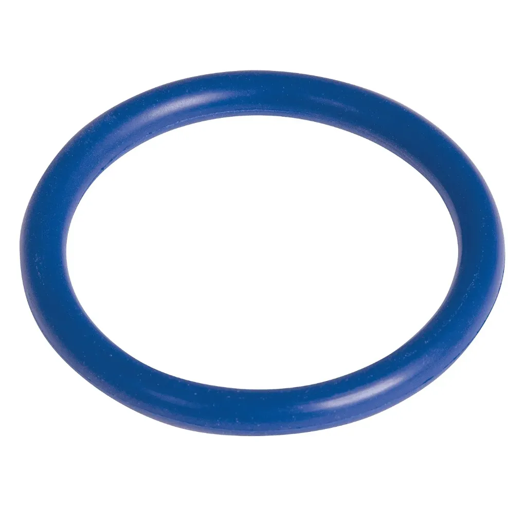 2" RJT Seal  Blue FDA EPDM